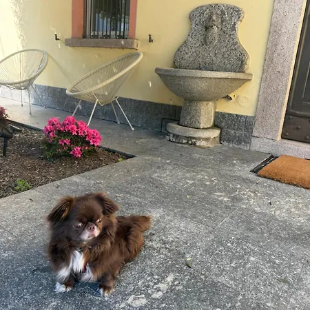 Chiara Maggiore Maison d'hôtes 3*